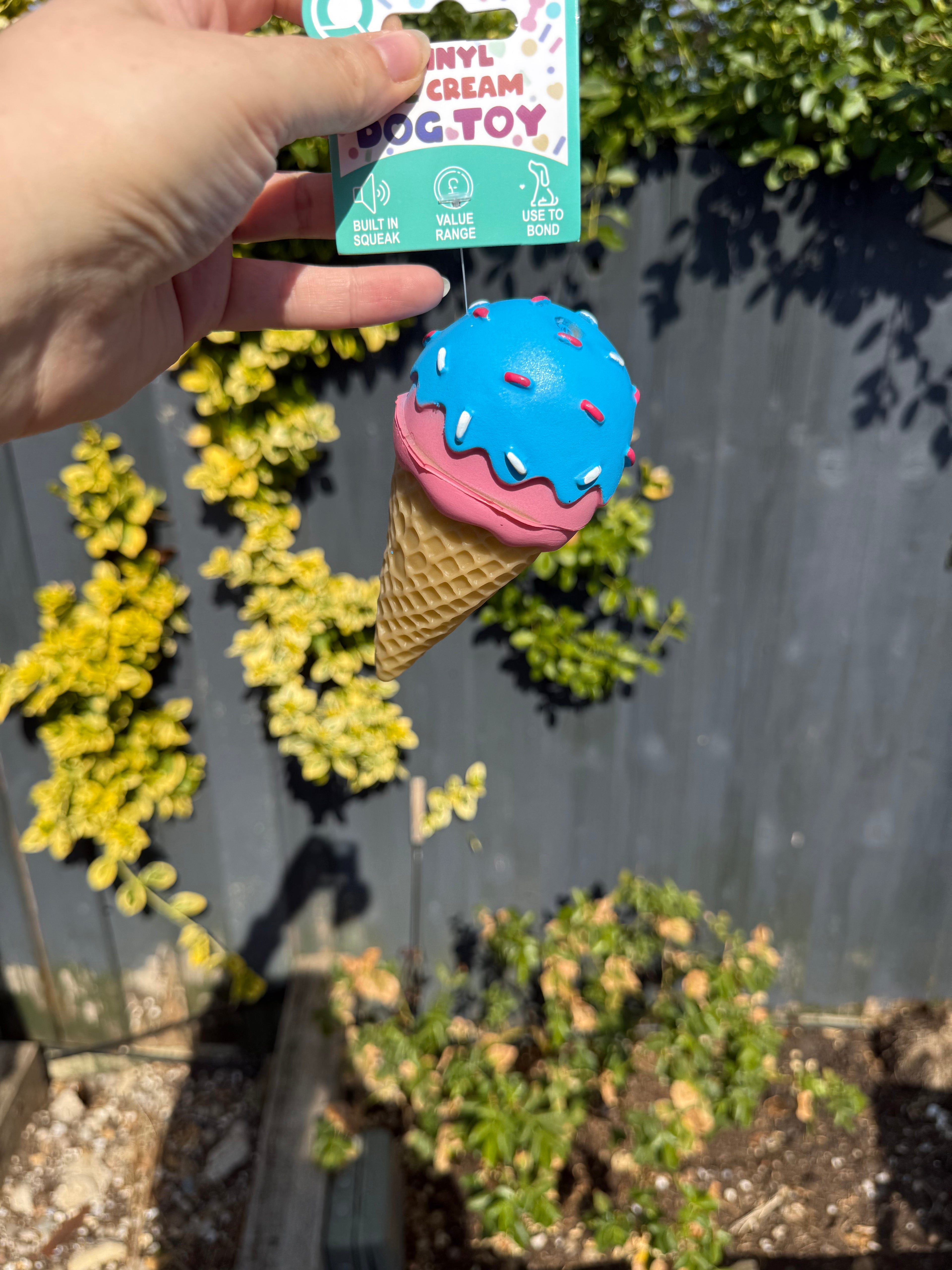 Ice Cream Squeaky Dog Toy