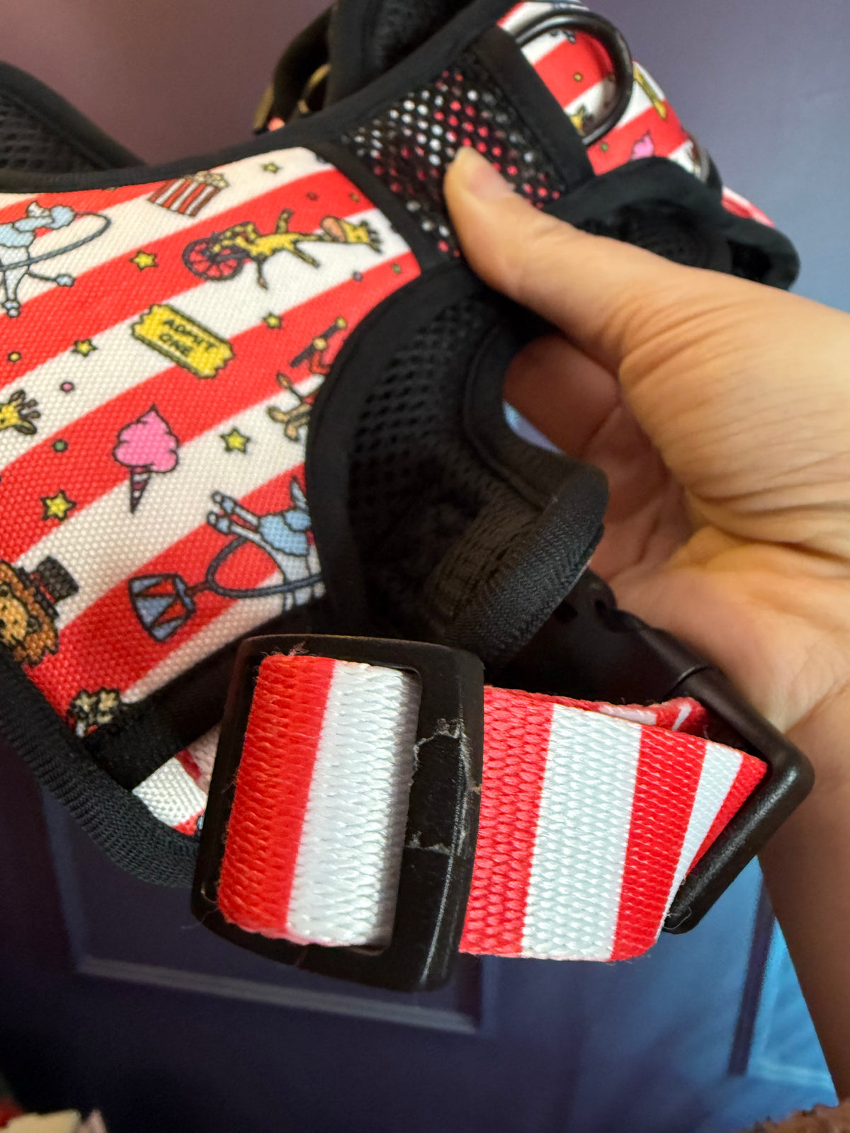PRE-LOVED: Circus Chic Medium Tactical Harness