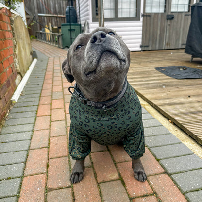 Emerald Green animal print dog top - animal print luxury dog matching outfit