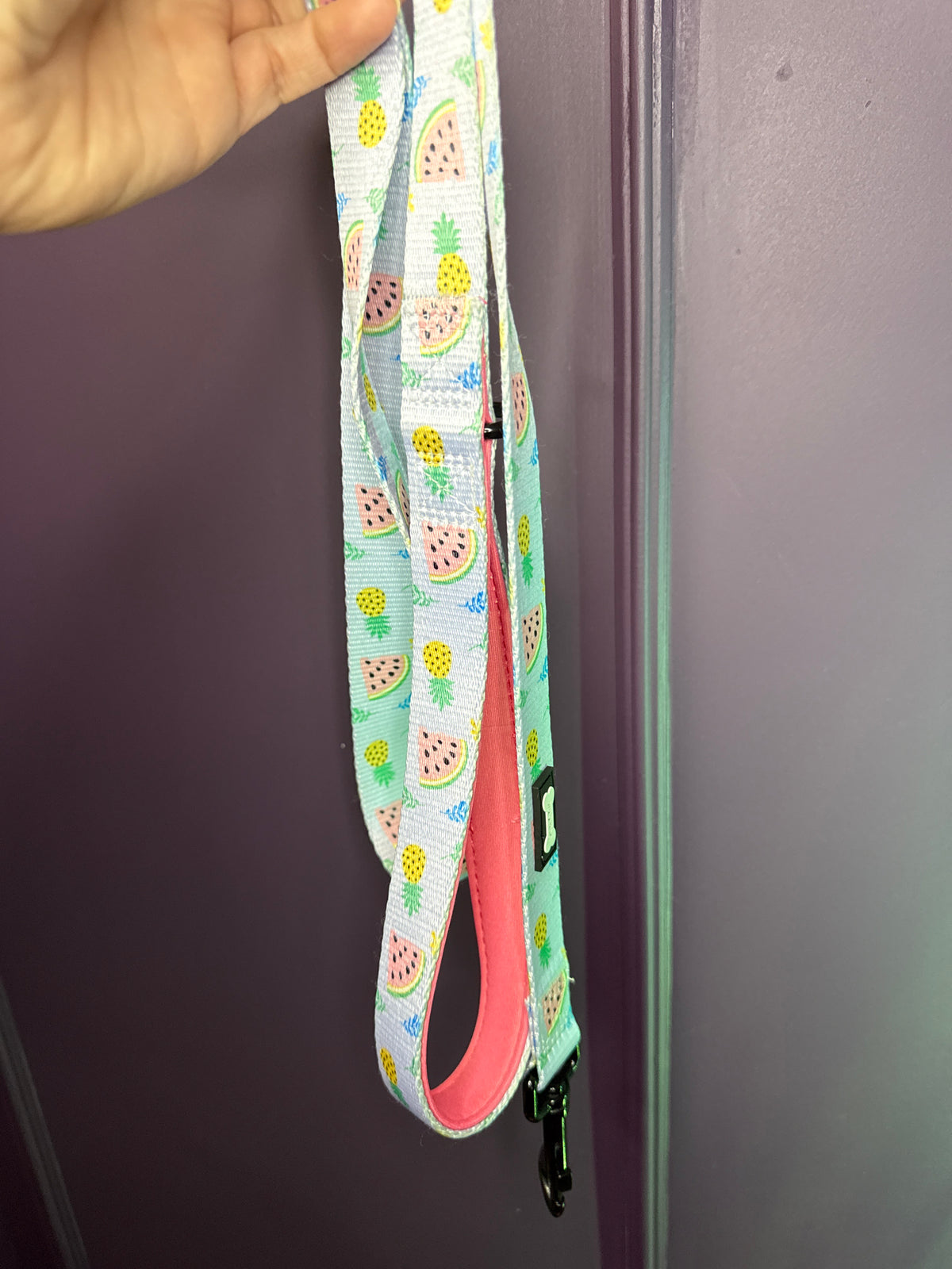 PRE-LOVED: Cutie Fruity lead