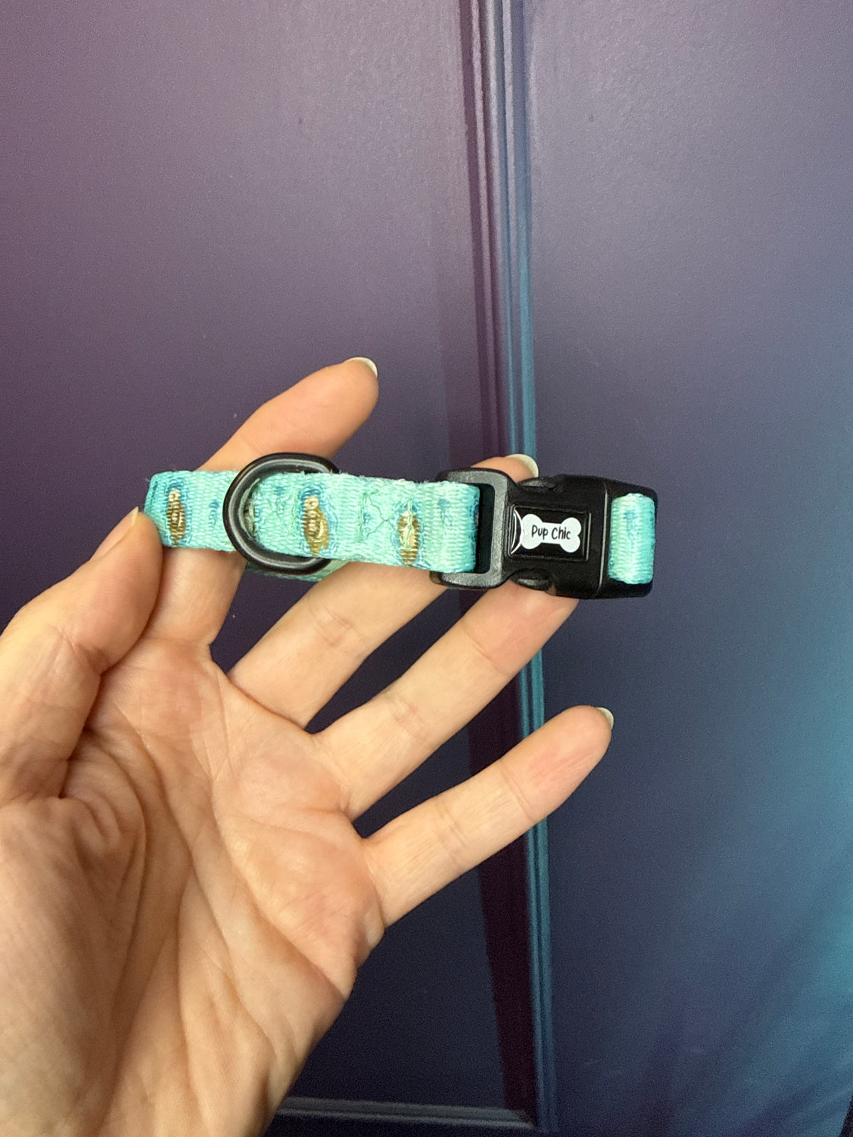 PRE-LOVED: Otterly Lovely XS Collar