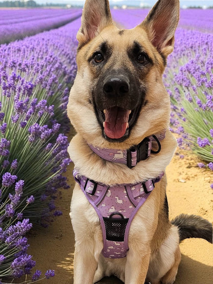 Daydreams & Unicorns Tactical Dog Harness – No Pull, Fully Adjustable & Fantastically Magical