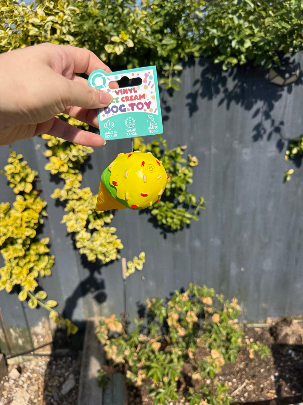 Ice Cream Squeaky Dog Toy