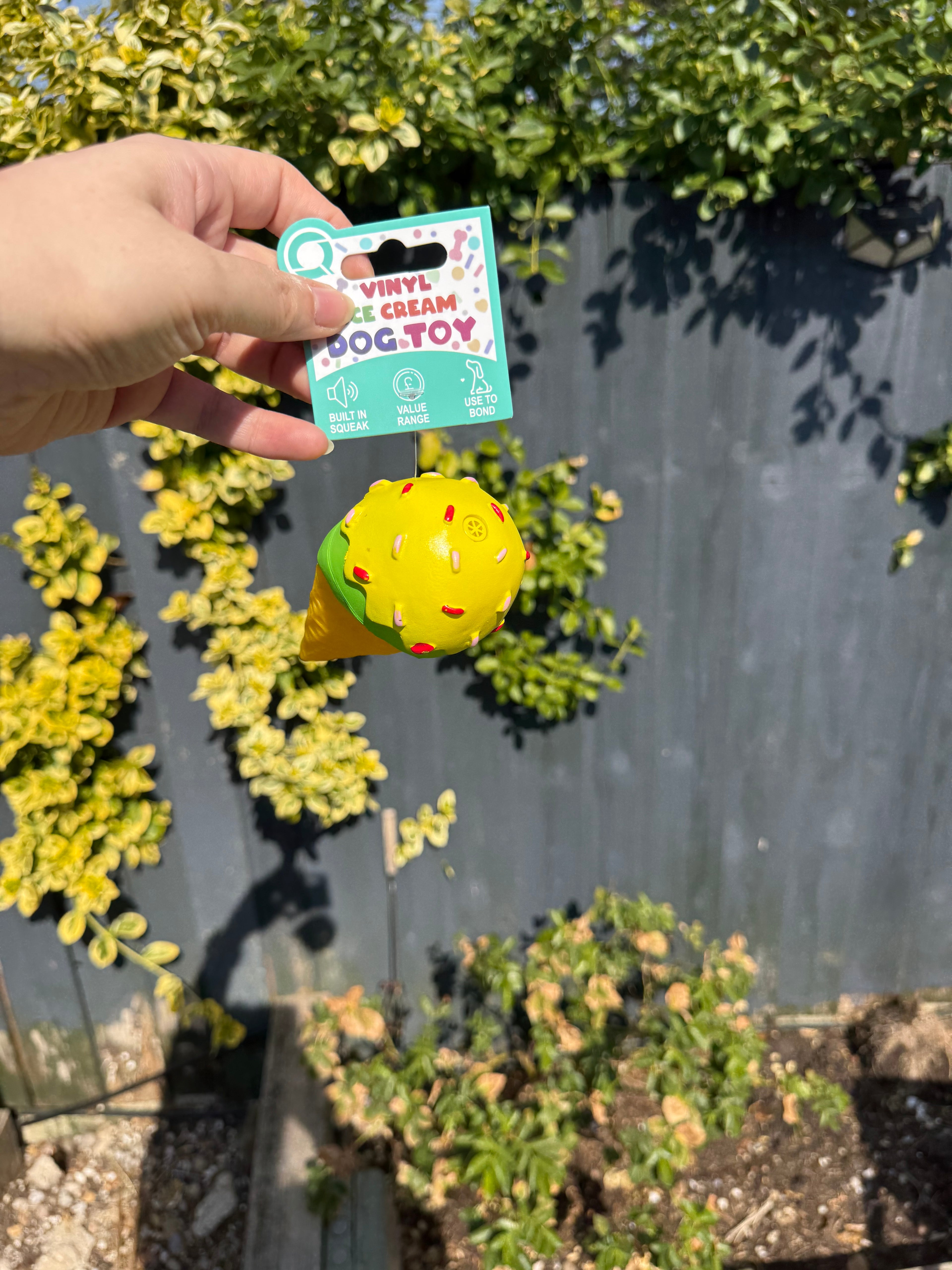 Ice Cream Squeaky Dog Toy