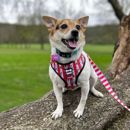 Circus Chic Adjustable Step in Dog Harness - Pup Chic Boutique