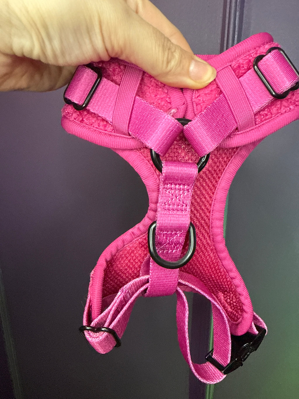 PRE-LOVED: Hot Stuff Teddy Fleece adjustable harness