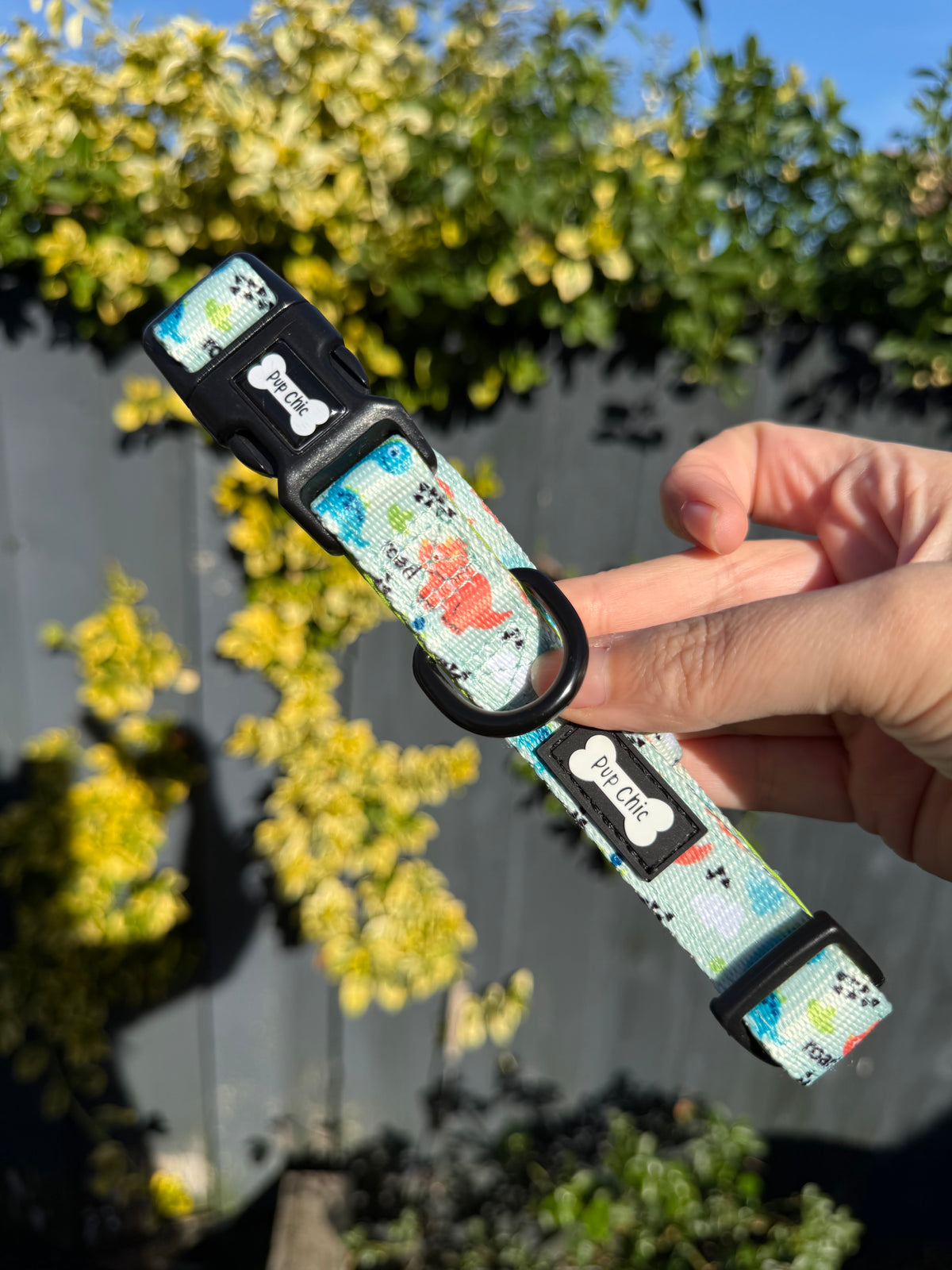 PRE-LOVED: Prehistoric Pup Medium Collar