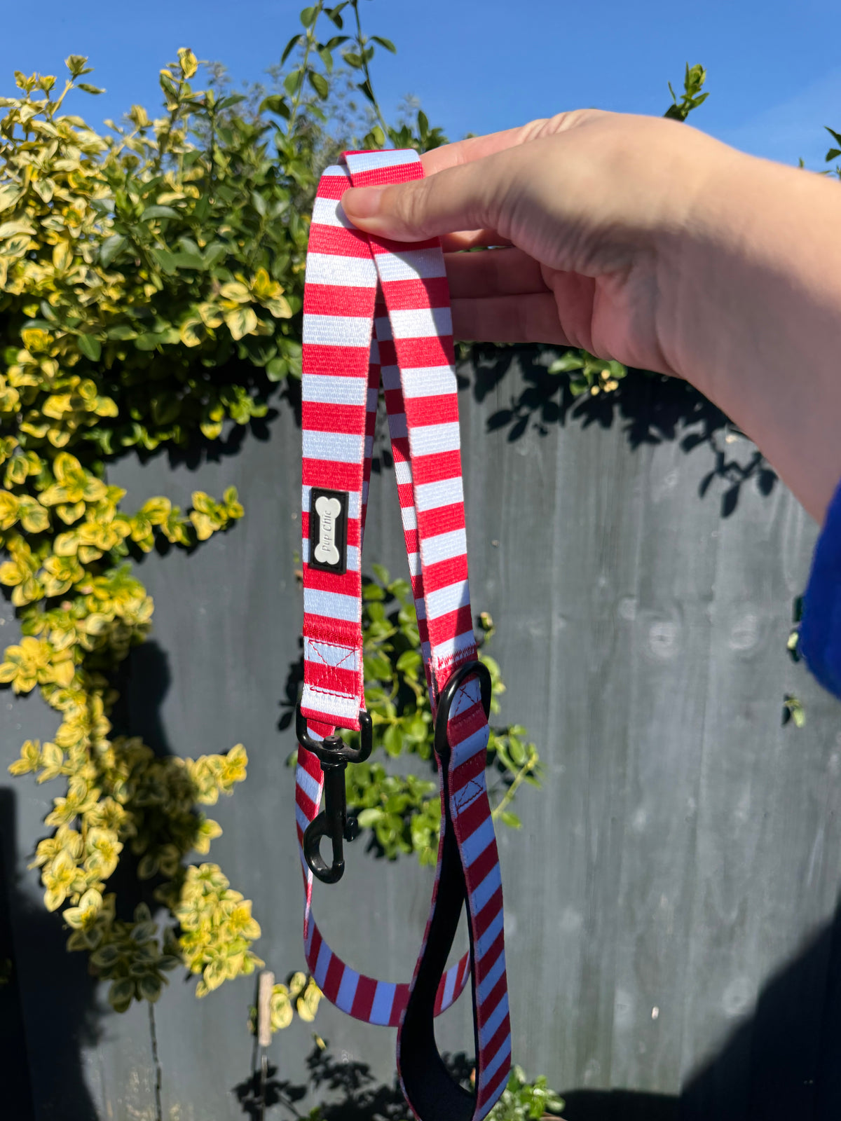 PRE-LOVED: Circus Chic lead