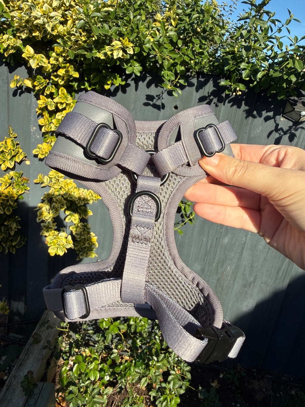 PRE-LOVED: City Slicker XXS adjustable harness