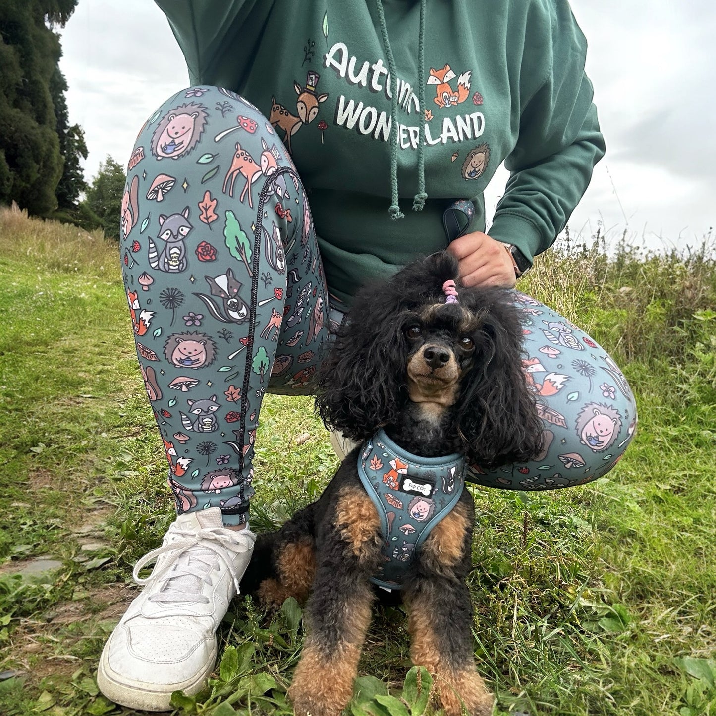 Autumn Wonderland matching leggings - dog walking leggings