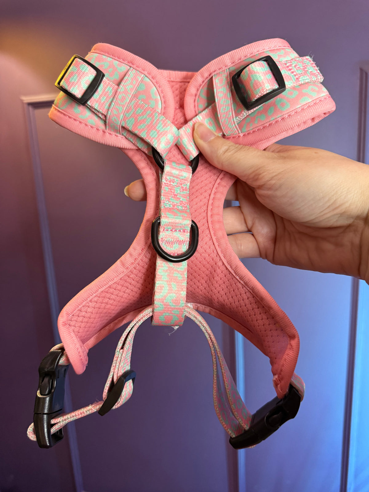 PRE-LOVED: Wild Chic small adjustable harness