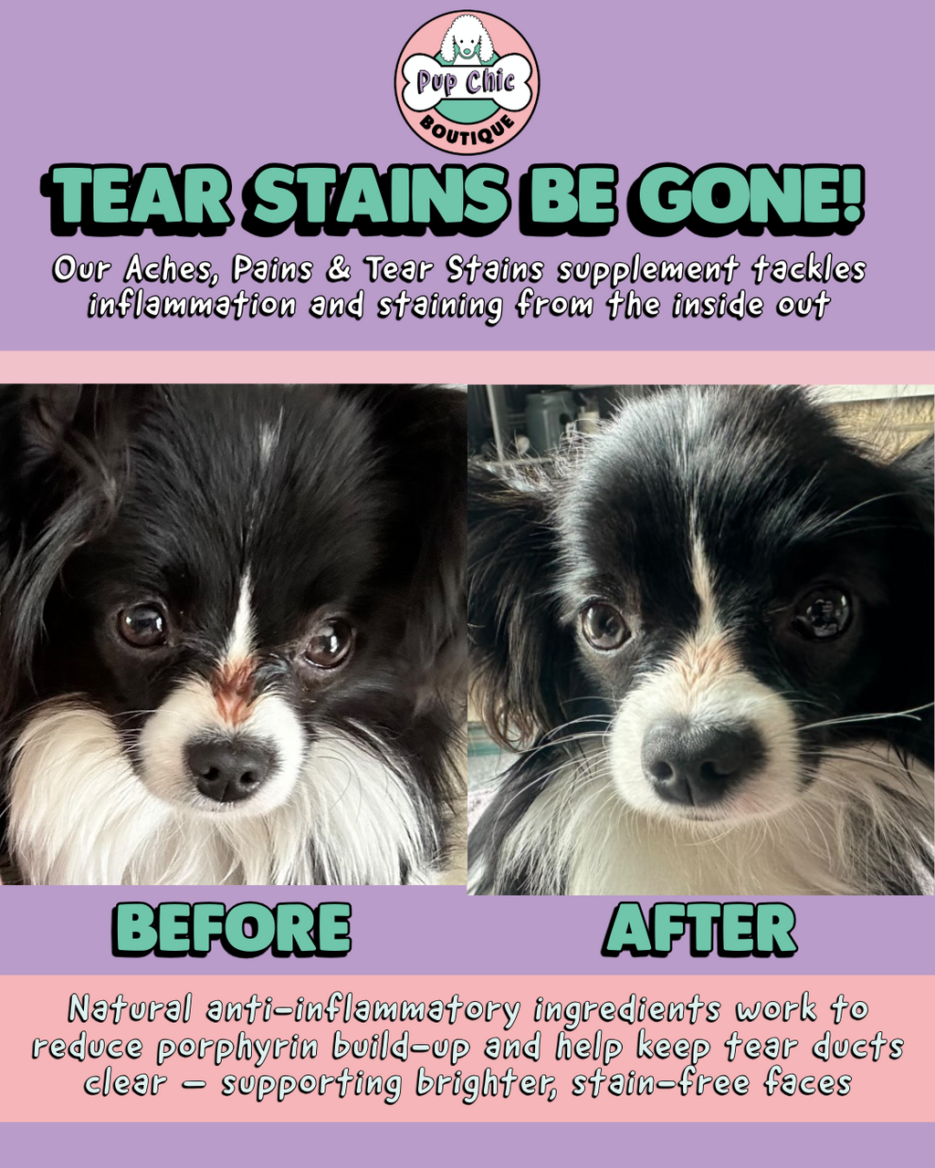 Aches, Pains & Tear Stains Dog Supplement – Natural Relief for Joints & Eyes