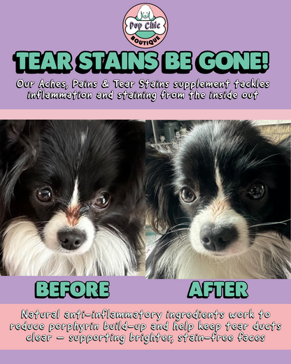 Aches, Pains & Tear Stains Dog Supplement - improve aches, help reduce pain and stop tear stains!