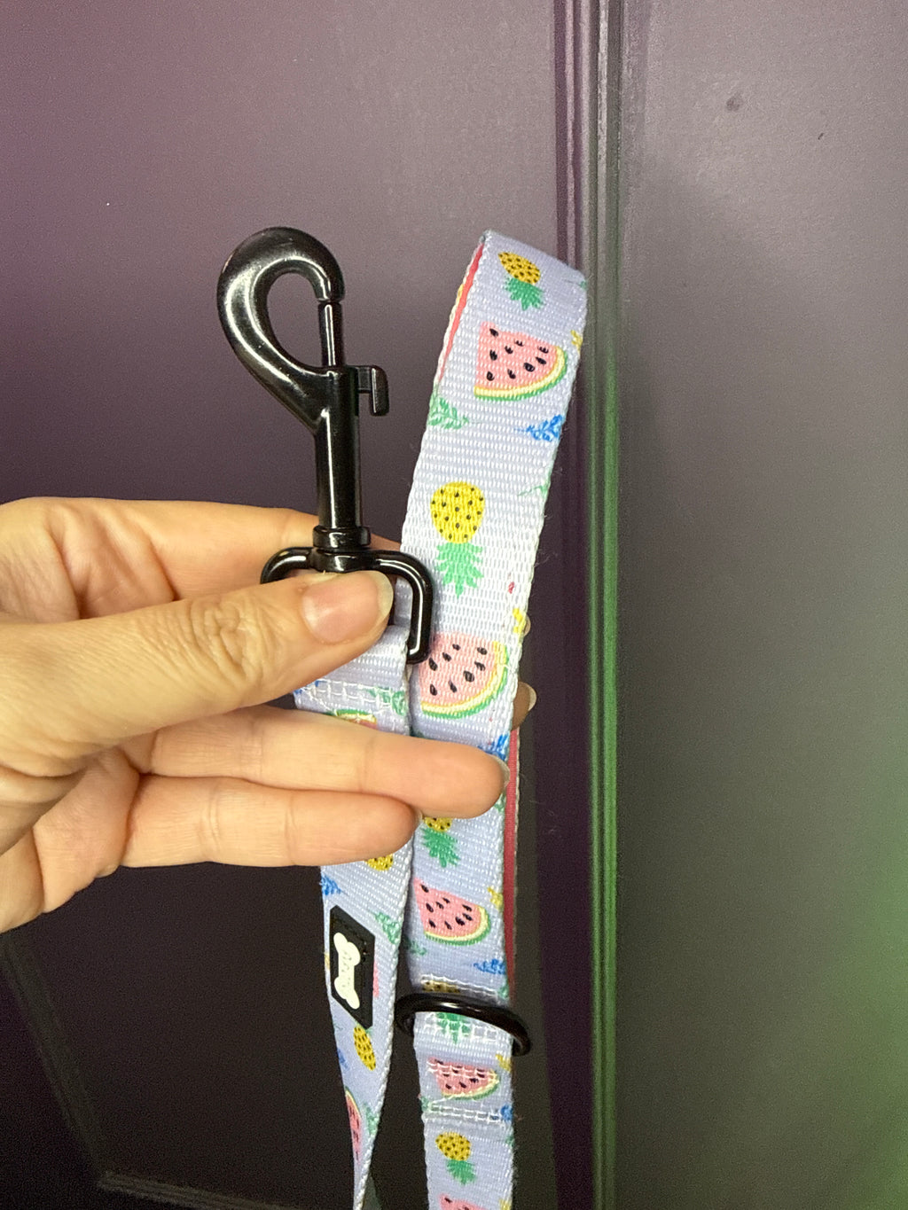 PRE-LOVED: Cutie Fruity lead