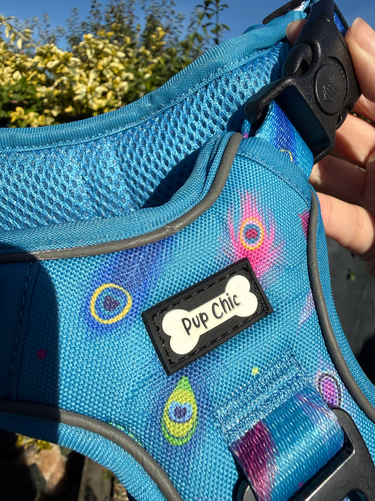 PRE-LOVED: Power Peacock Large Tactical Harness