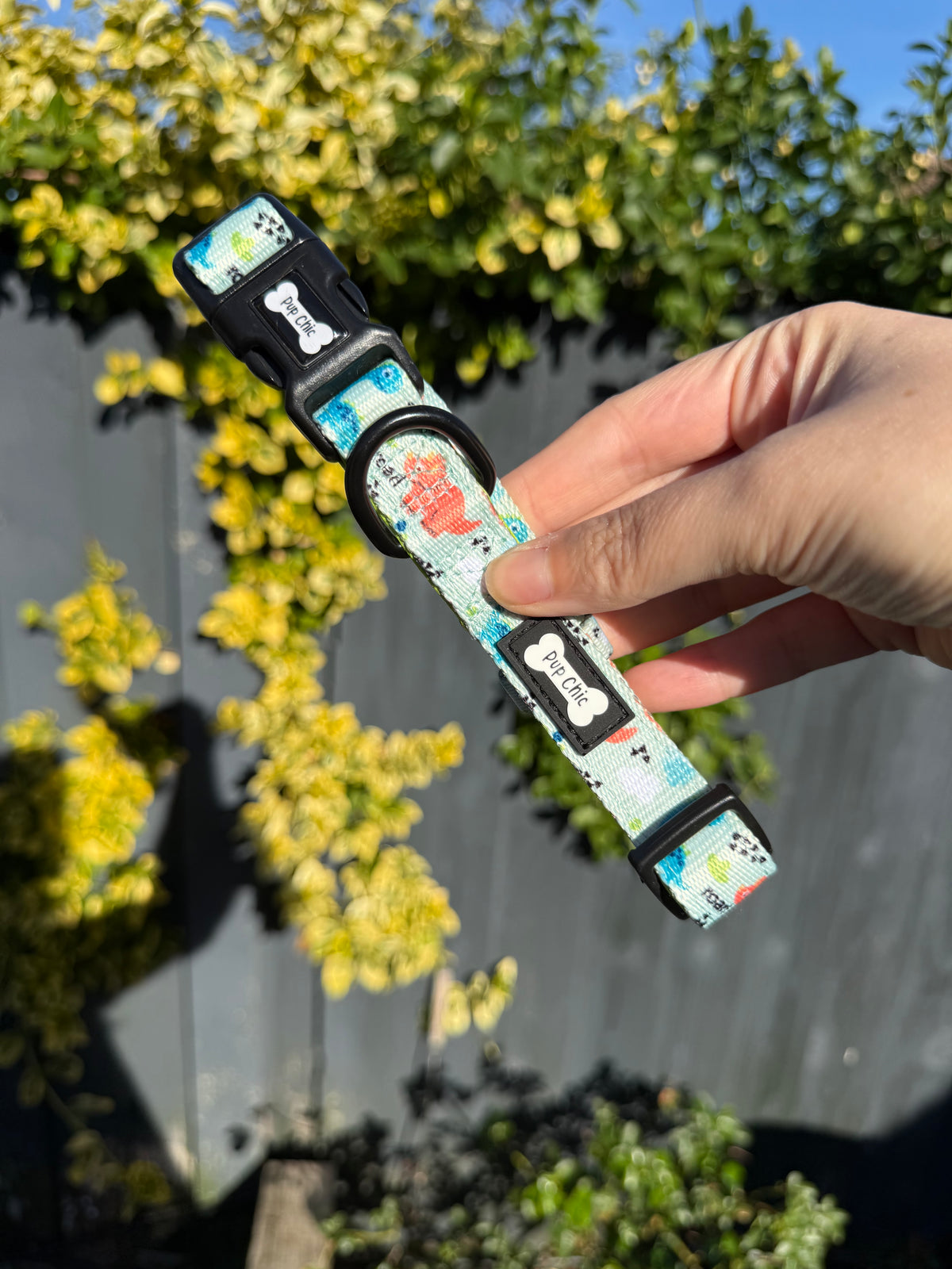 PRE-LOVED: Prehistoric Pup Medium Collar