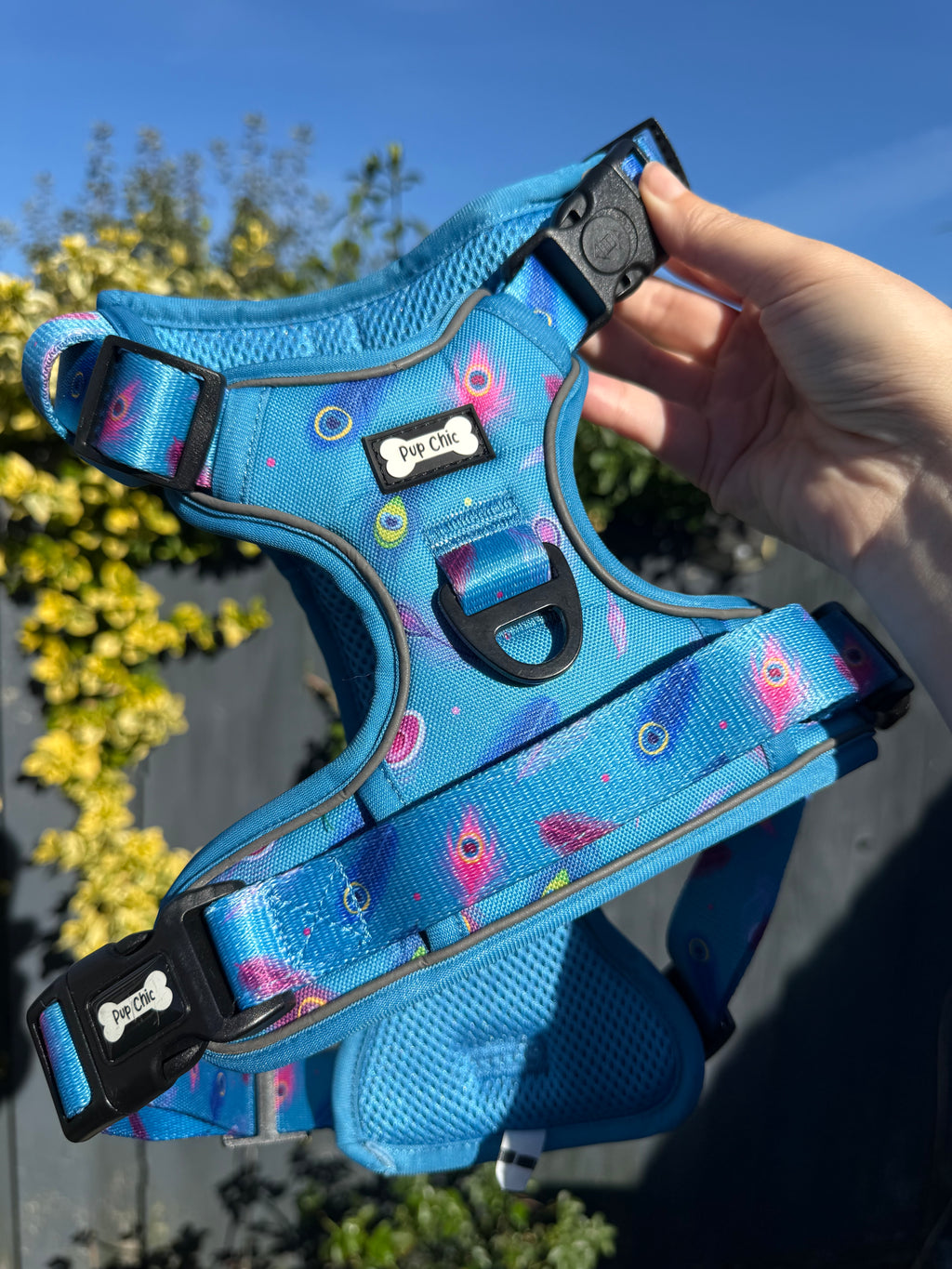 PRE-LOVED: Power Peacock Large Tactical Harness