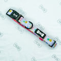 Cutie Fruity Dog Collar