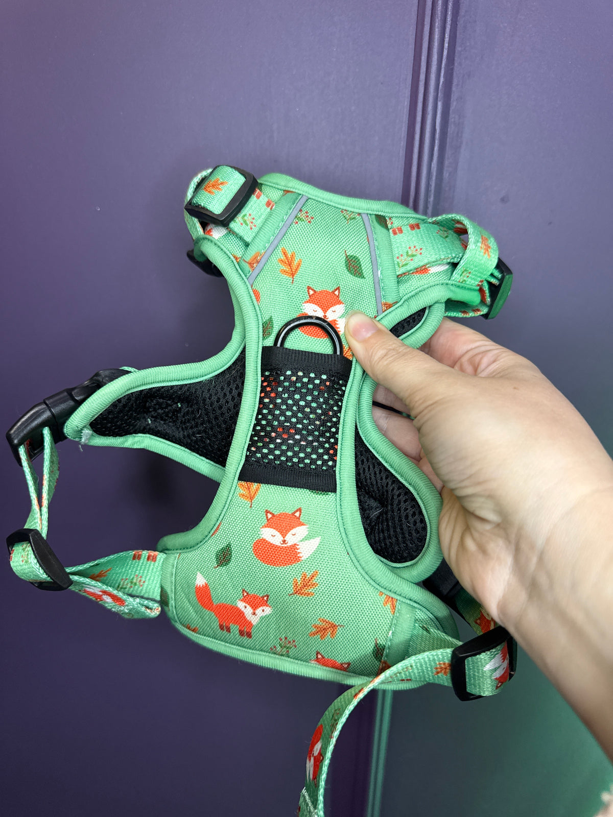PRE-LOVED: Inquisitive Fox Small Tactical Harness
