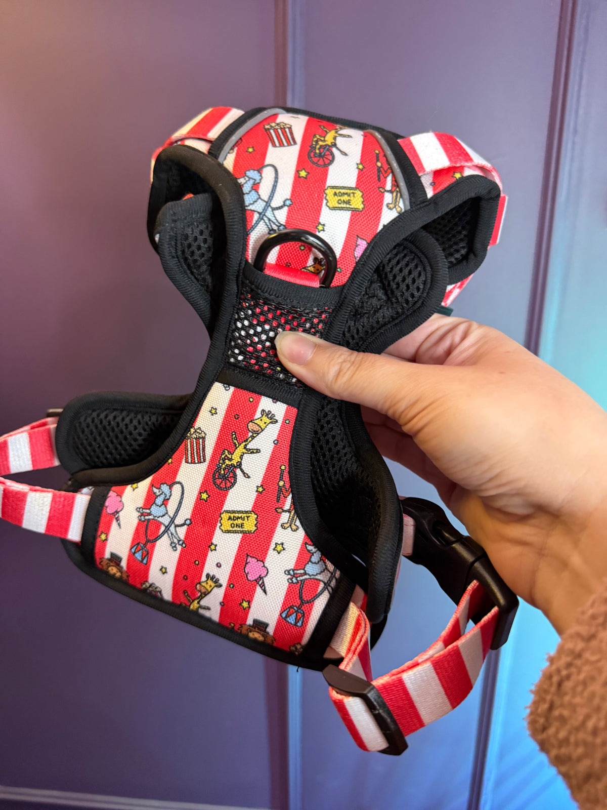 PRE-LOVED: Circus Chic Medium Tactical Harness