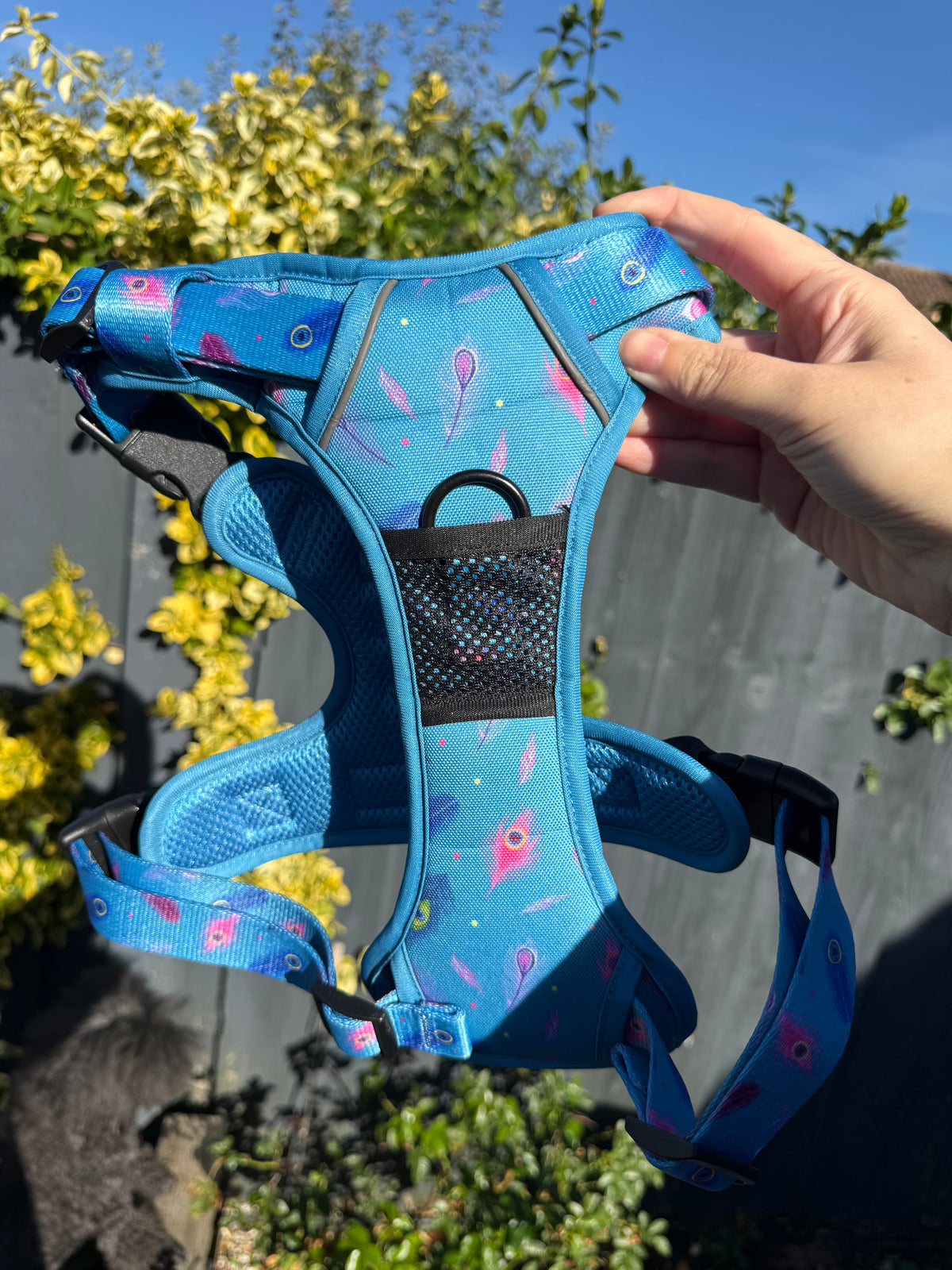 PRE-LOVED: Power Peacock Large Tactical Harness