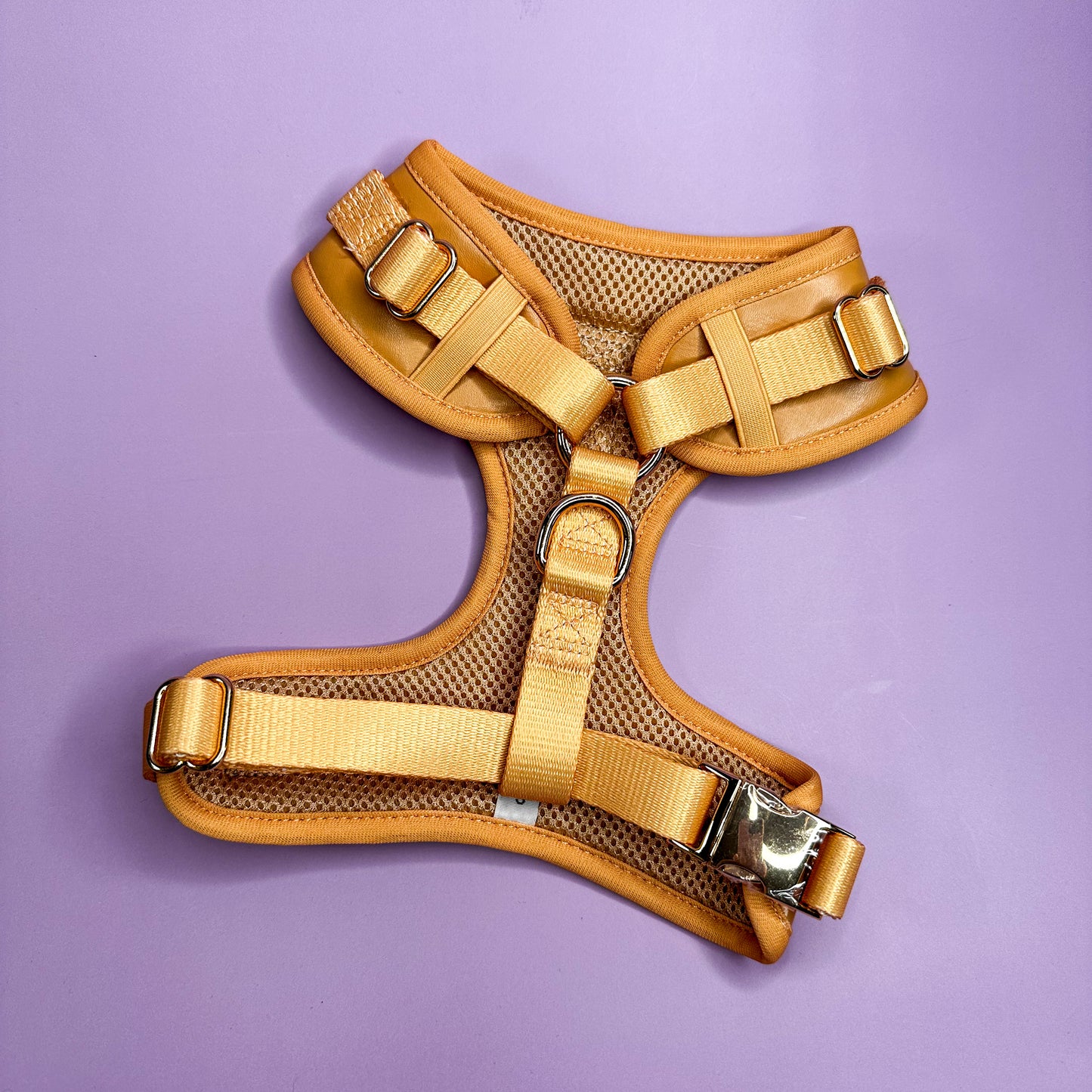 Alfresco Pup vegan leather dog harness - camel colour adjustable dog harness