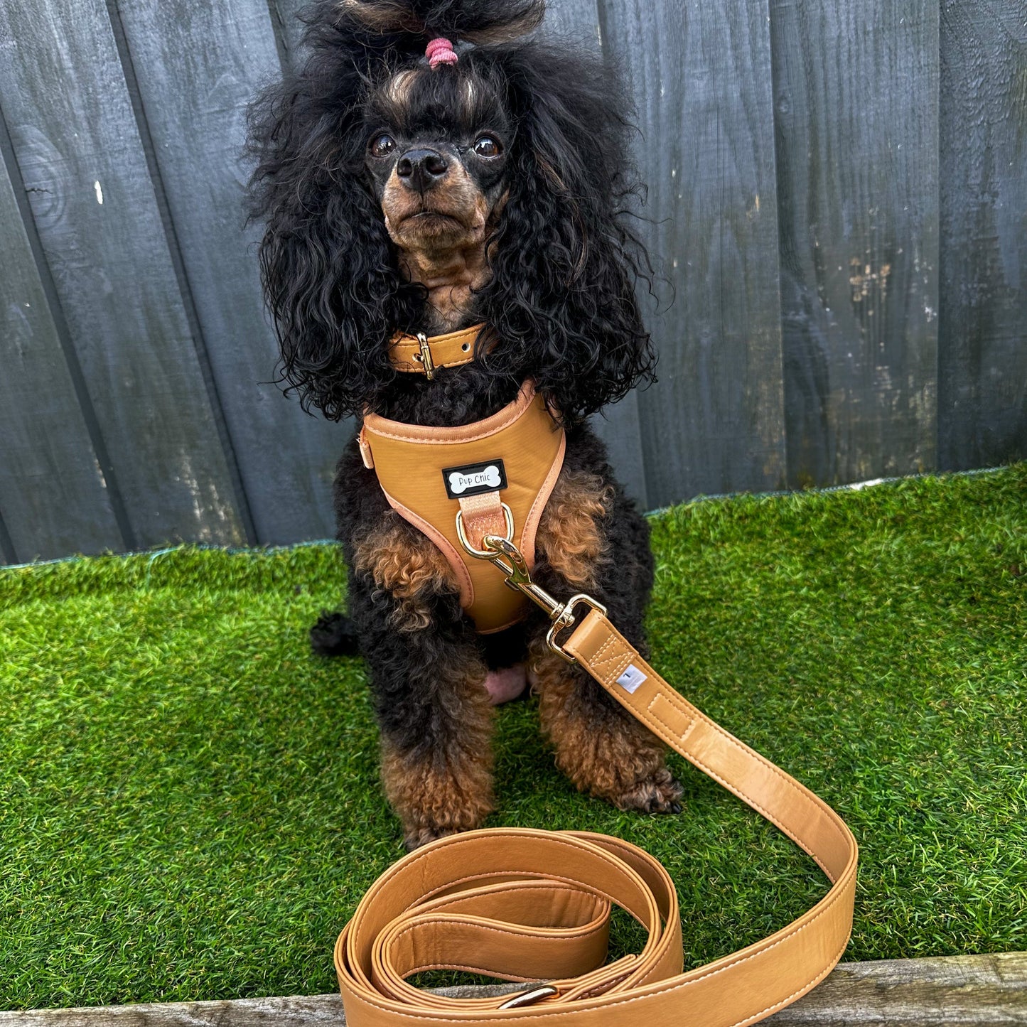 Alfresco Pup vegan leather dog harness - camel colour adjustable dog harness