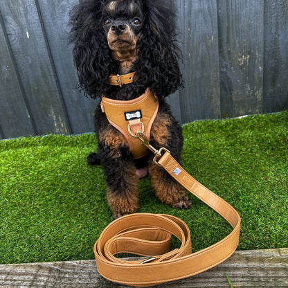 Alfresco Pup vegan leather 5ft dog lead - Pup Chic Boutique