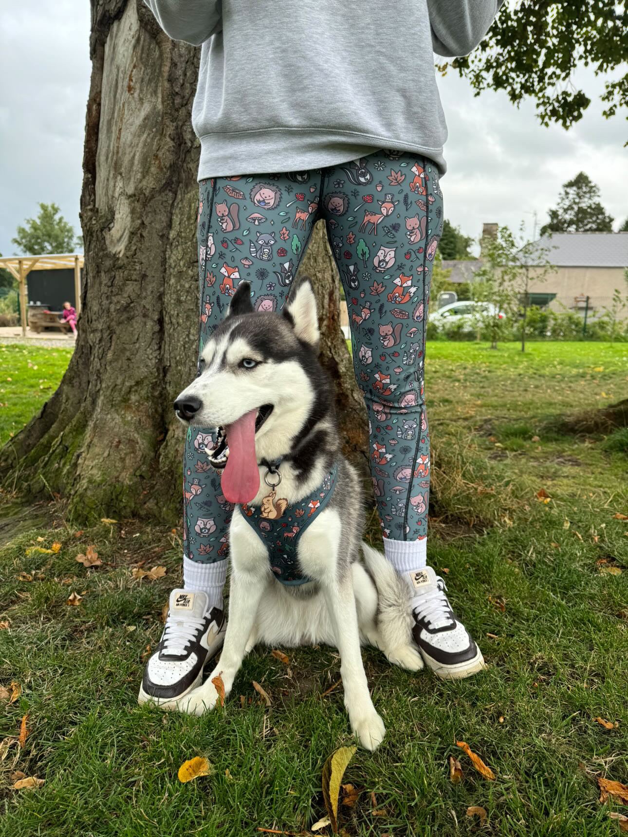 Autumn Wonderland matching leggings - dog walking leggings