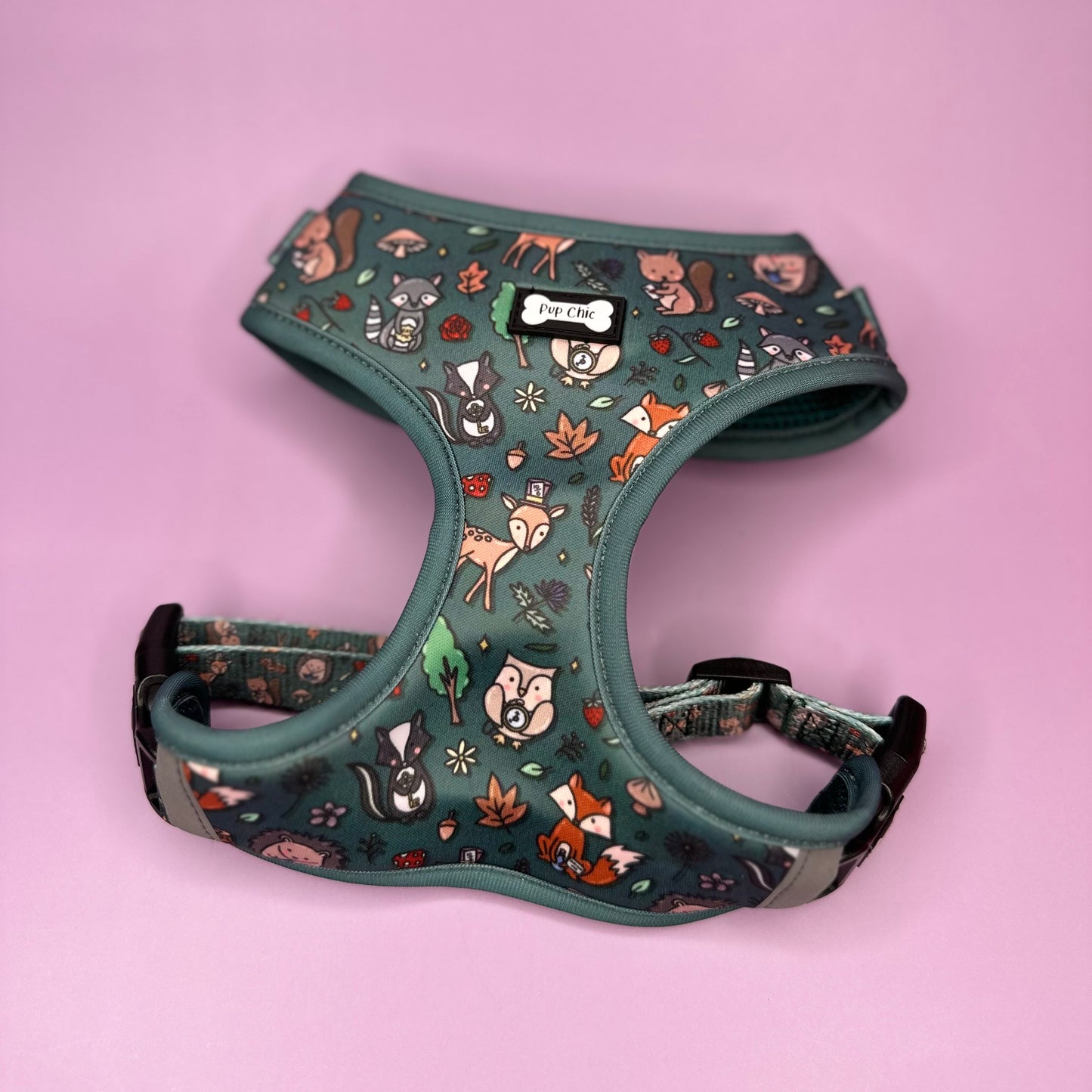 Autumn Wonderland Adjustable Dog Harness - Alice in Wonderland dog harness