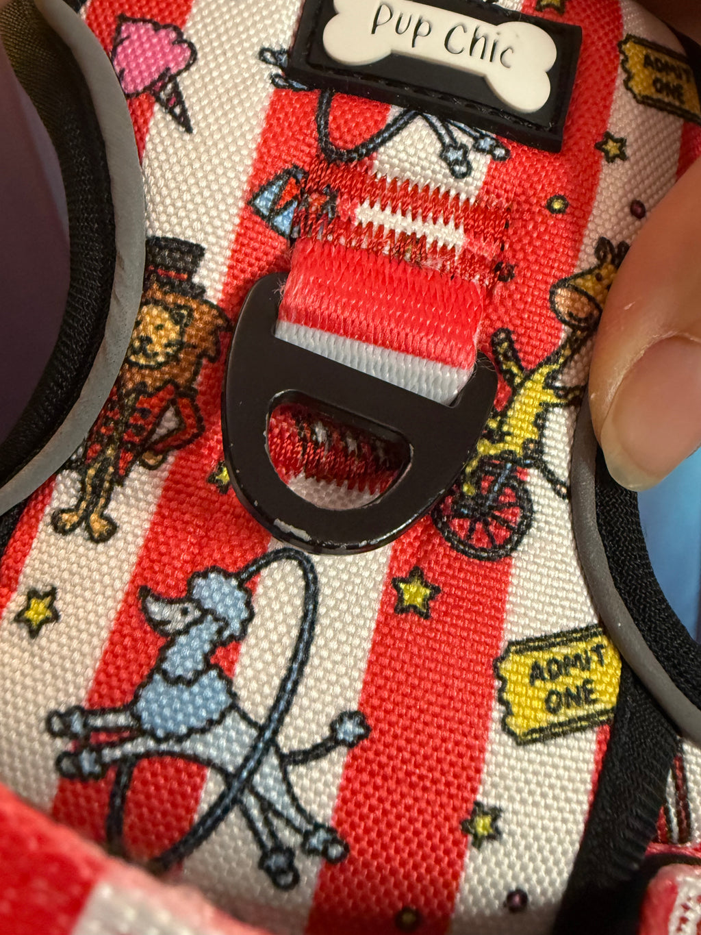 PRE-LOVED: Circus Chic Medium Tactical Harness