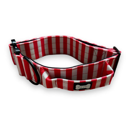 Circus Chic Tuff Stuff dog collar - tactical dog collar with handle - Pup Chic Boutique