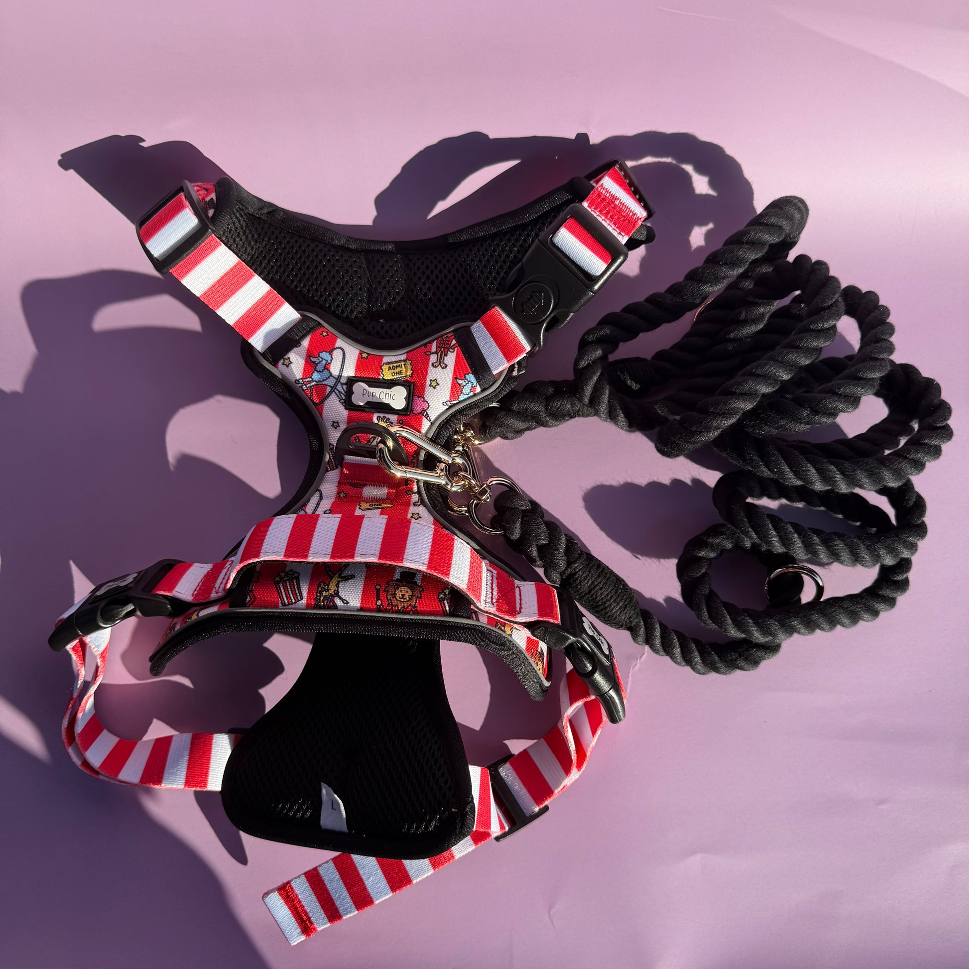 Black rope lead clipped to a no pull dog harness