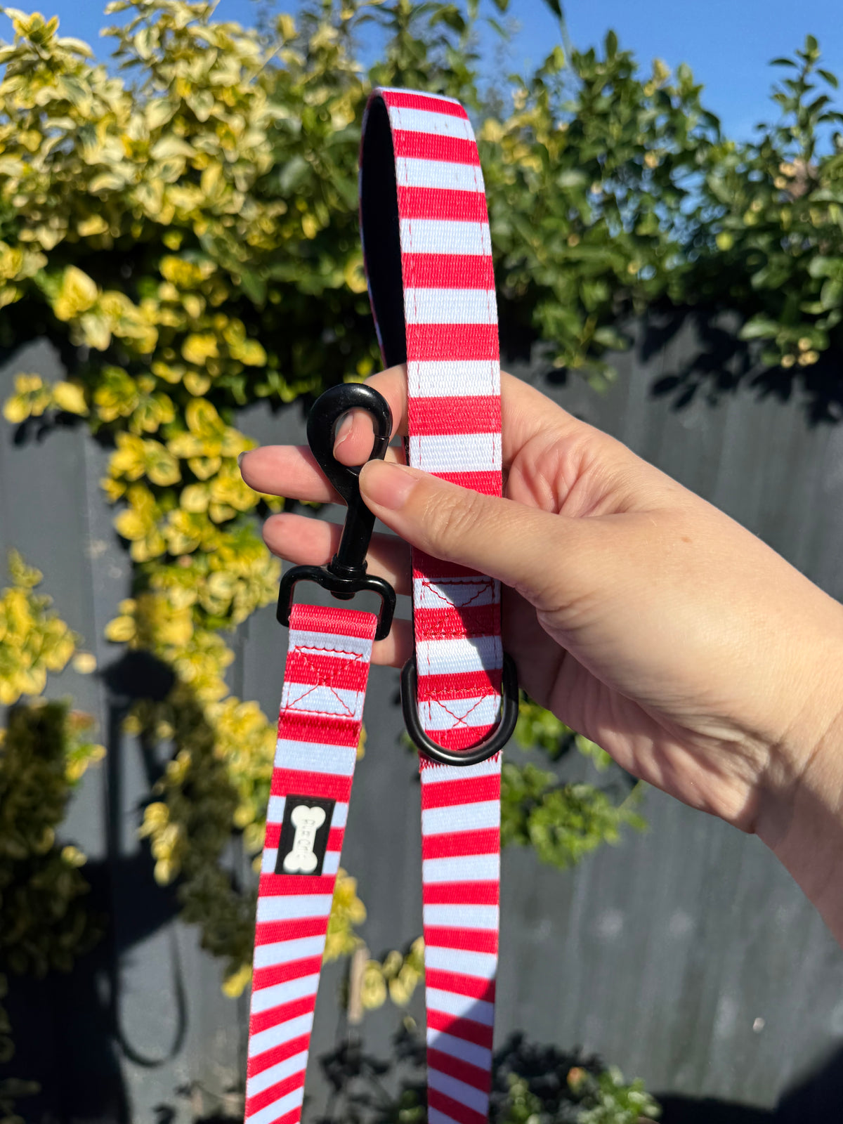 PRE-LOVED: Circus Chic lead