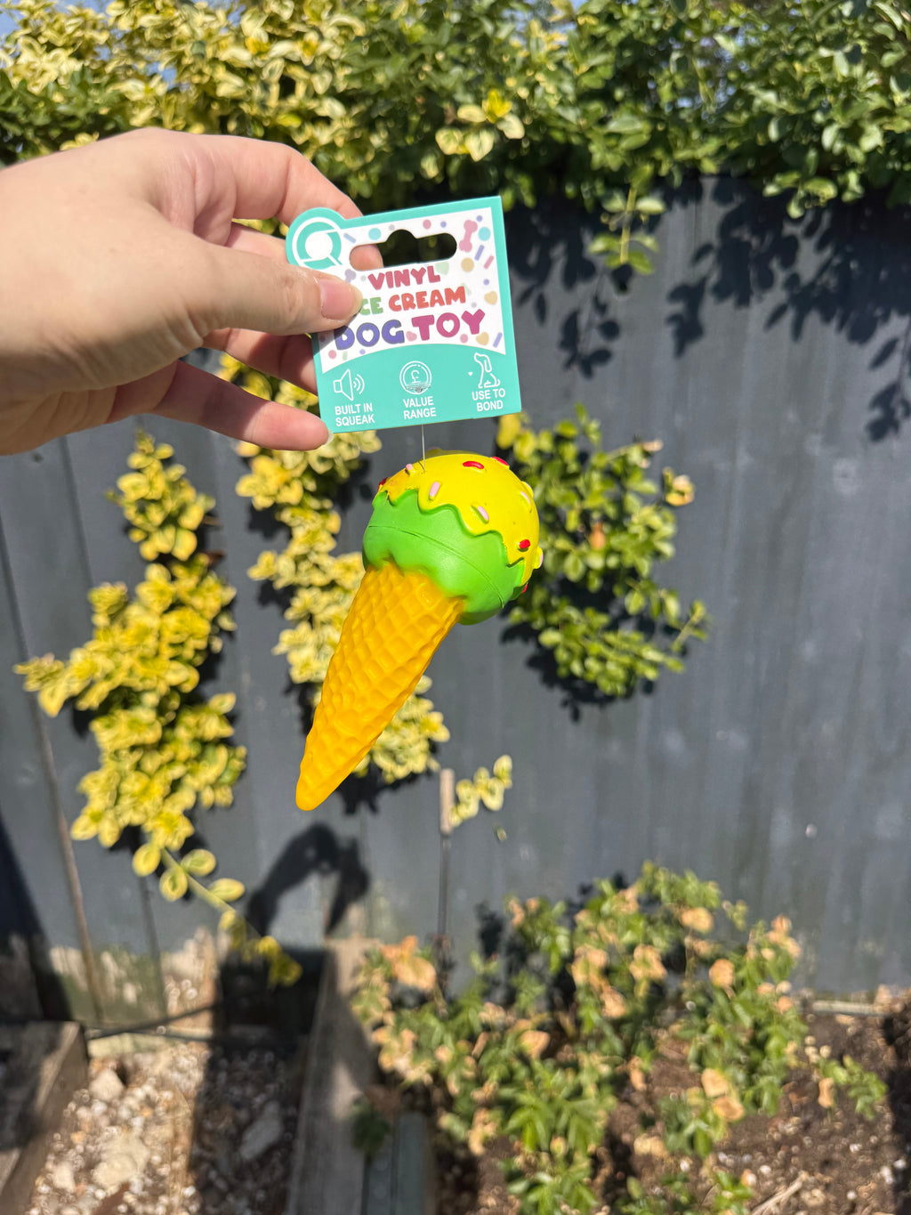 Ice Cream Squeaky Dog Toy