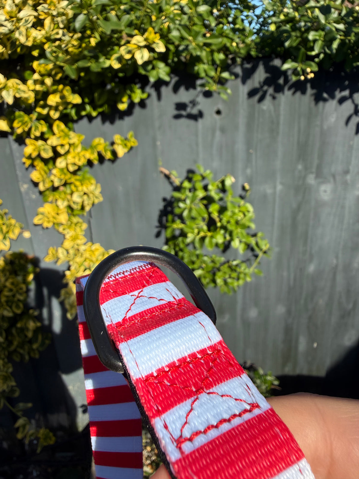 PRE-LOVED: Circus Chic lead