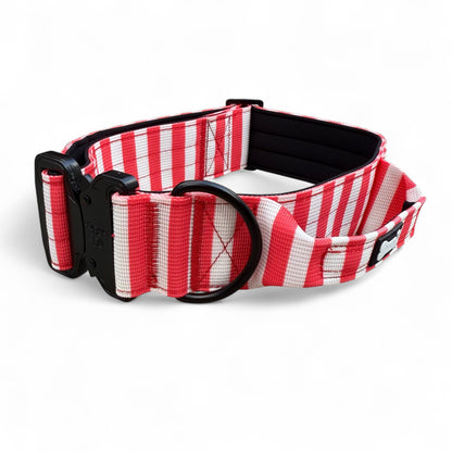 Circus Chic Tactical Dog Collar with Handle – Heavy-Duty No Pull Collar for Large & XL Dogs 🎪🐾