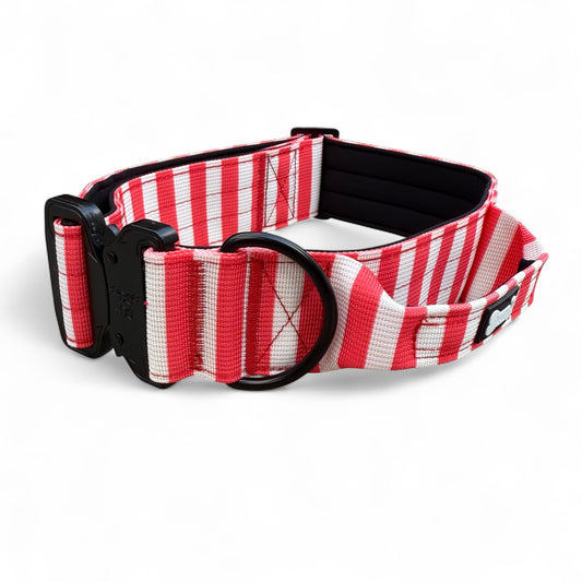 Circus Chic Tactical Dog Collar with Handle – Heavy-Duty No Pull Collar for Large & XL Dogs 🎪🐾