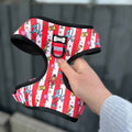 Circus Chic XXS Puppy Harness