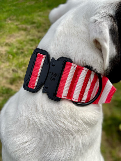 Circus Chic Tuff Stuff dog collar - tactical dog collar with handle - Pup Chic Boutique