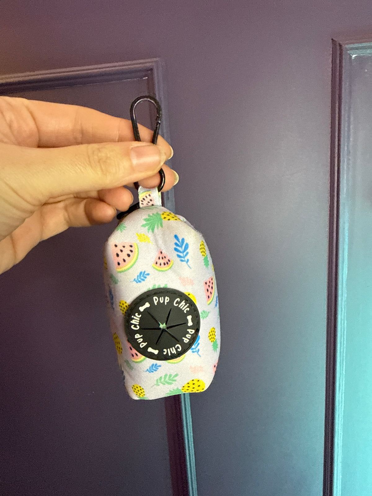 PRE-LOVED: Cutie Fruity Poo Bag Holder