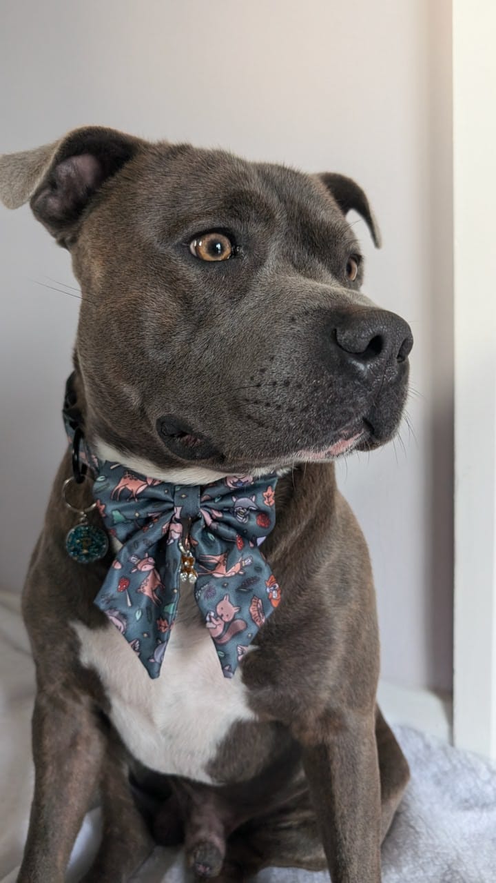 Autumn Wonderland Sailor Bow Tie