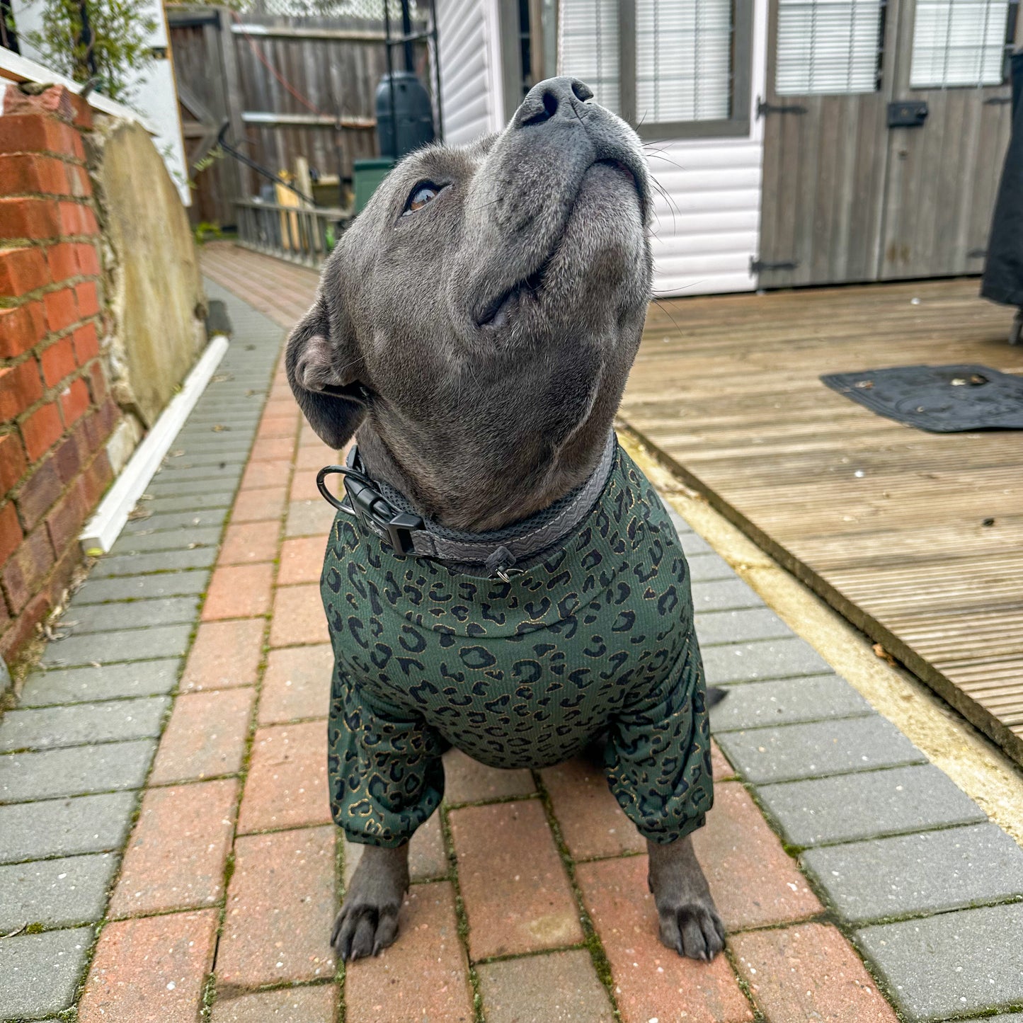 Emerald Green animal print dog top - animal print luxury dog matching outfit