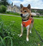 Autumn Sun orange fleece harness - adjustable dog harness