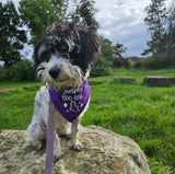 Simply Boo-tiful - Halloween bandana