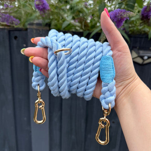 Blue rope lead clipped to both front and back of a dog’s harness to reduce pulling