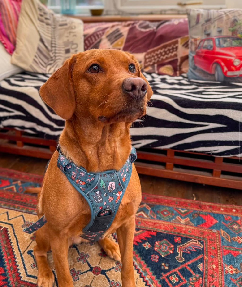 Woodland Wonderland Tactical Dog Harness