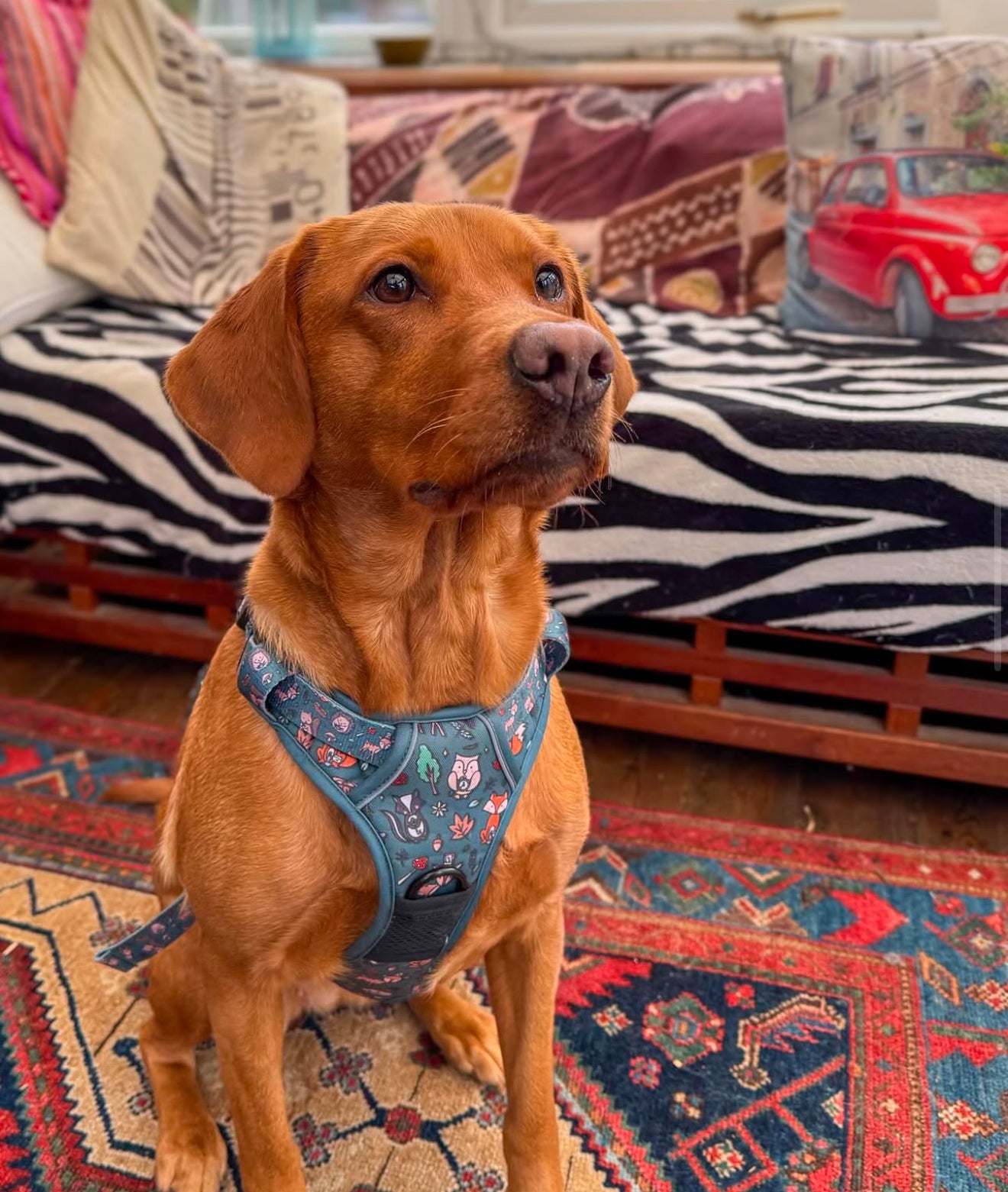 Woodland Wonderland Tactical Dog Harness