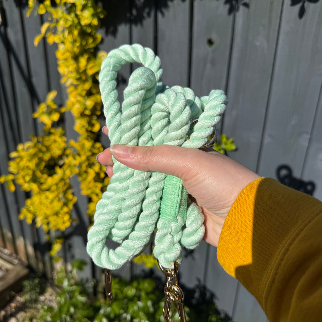 Mint Green Multi-Use 7ft Rope Dog Lead – Bold, Durable & Versatile (Copy)