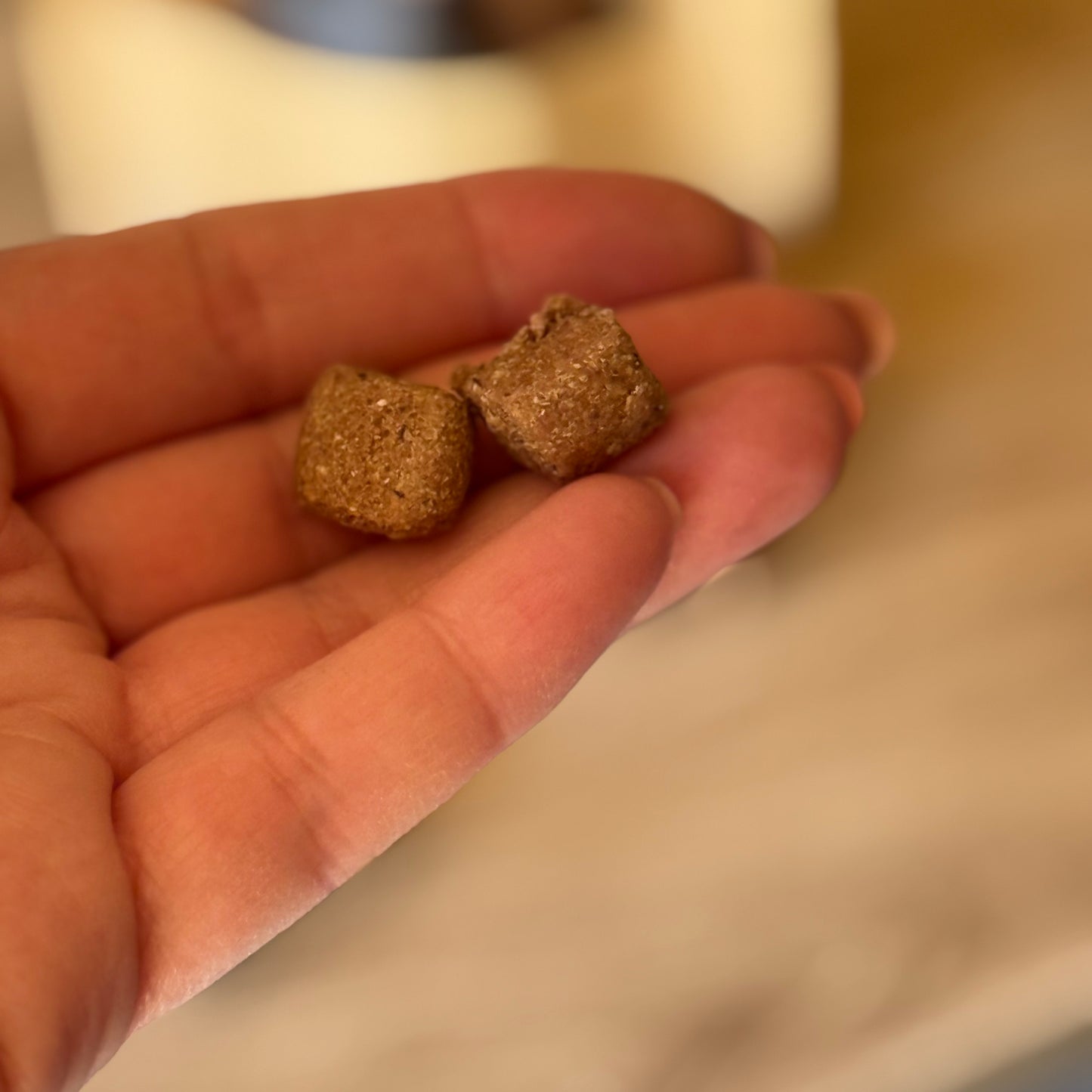 Handmade Dog Treat Taster Pack – Low Fat & Naturally Delicious 🐾